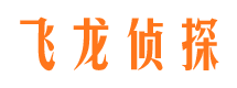 连山飞龙私家侦探公司